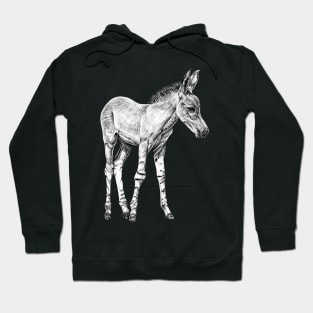 Somali wild ass foal illustration Hoodie